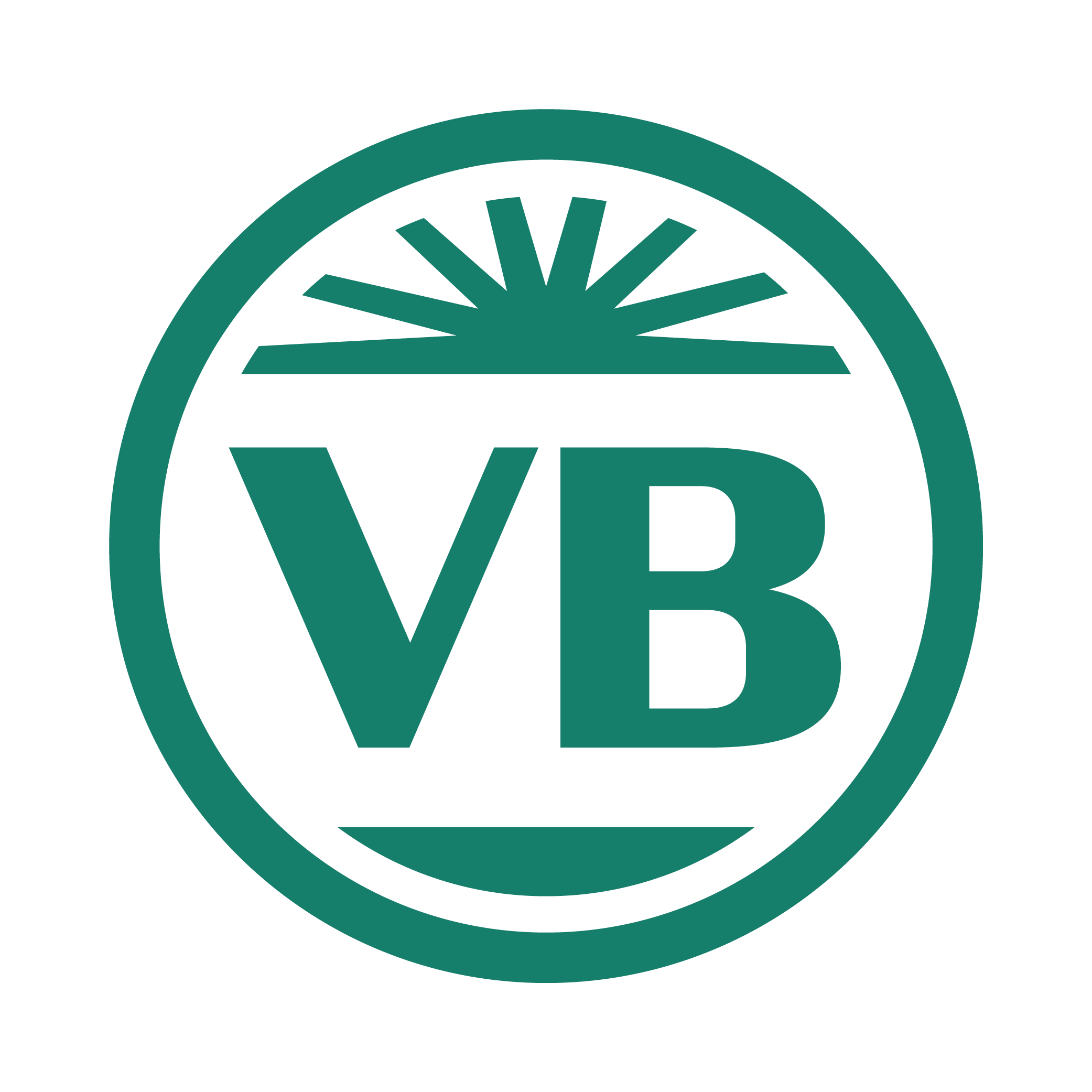 Storm Water Management Plan | The Village of Vicksburg